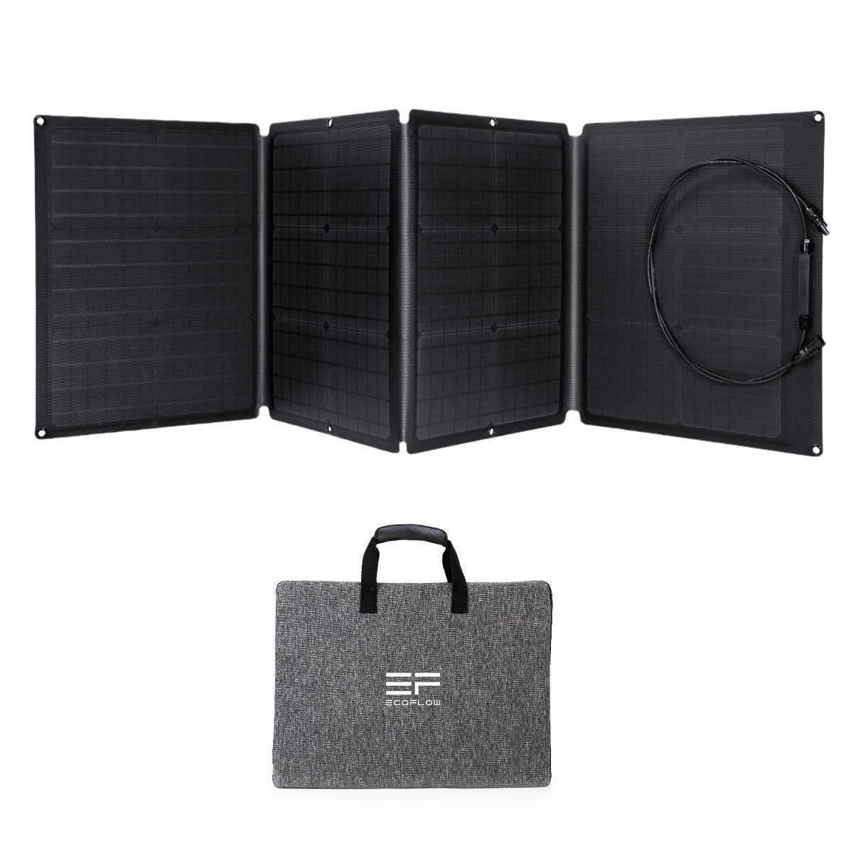 EcoFlow RIVER Pro + 1*110W Solar Panel.